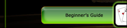 Introduction to Online Casino Bonuses